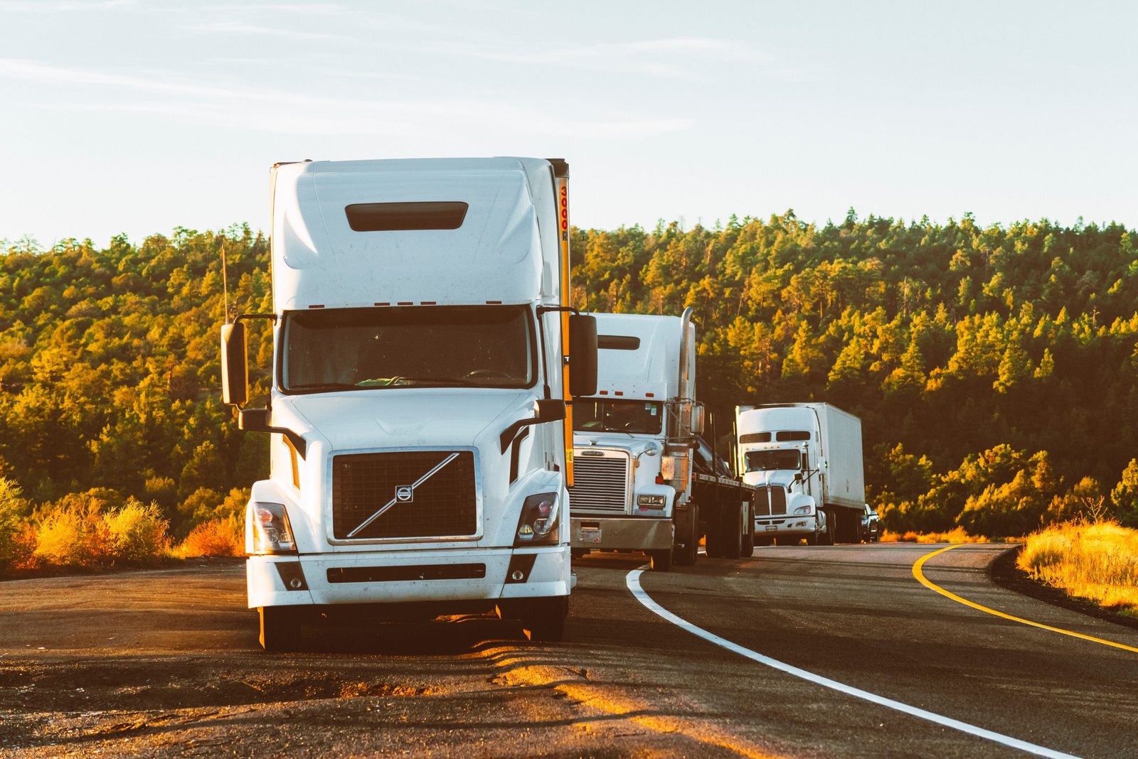 Global Driver Shortage in 2025: How Road Transport is Responding 3 pexels quintin gellar 2199293 scaled 1